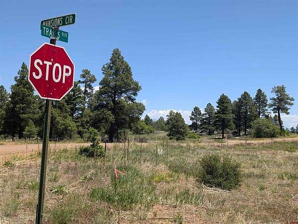 0.23 Acres of Residential Land for Sale in Pagosa Springs, Colorado