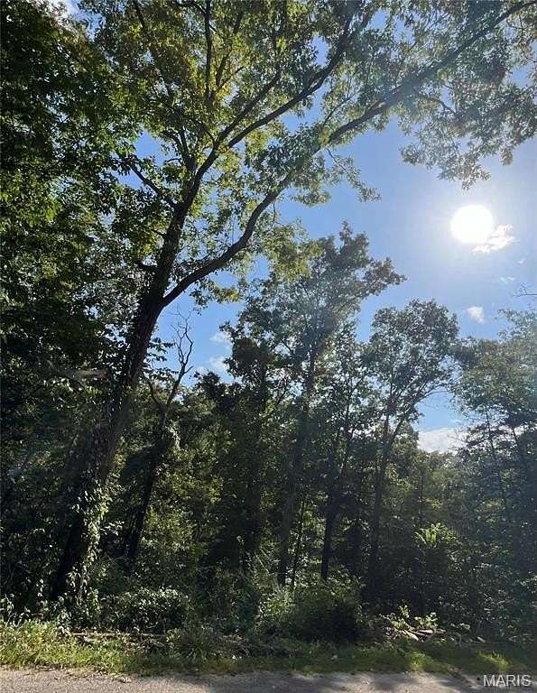 0.15 Acres of Residential Land for Sale in Jasper Township, Missouri