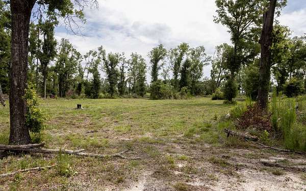 20 Acres of Land for Sale in Live Oak, Florida