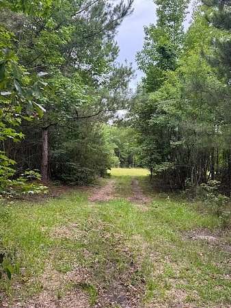 12.7 Acres of Recreational Land for Sale in Summerton, South Carolina