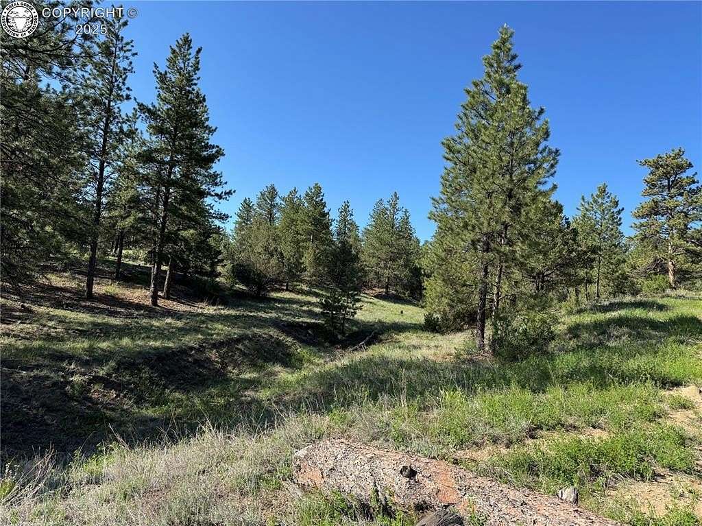 5.47 Acres of Residential Land for Sale in Cotopaxi, Colorado