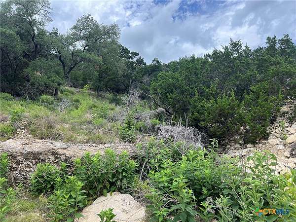 0.26 Acres of Residential Land for Sale in Canyon Lake, Texas