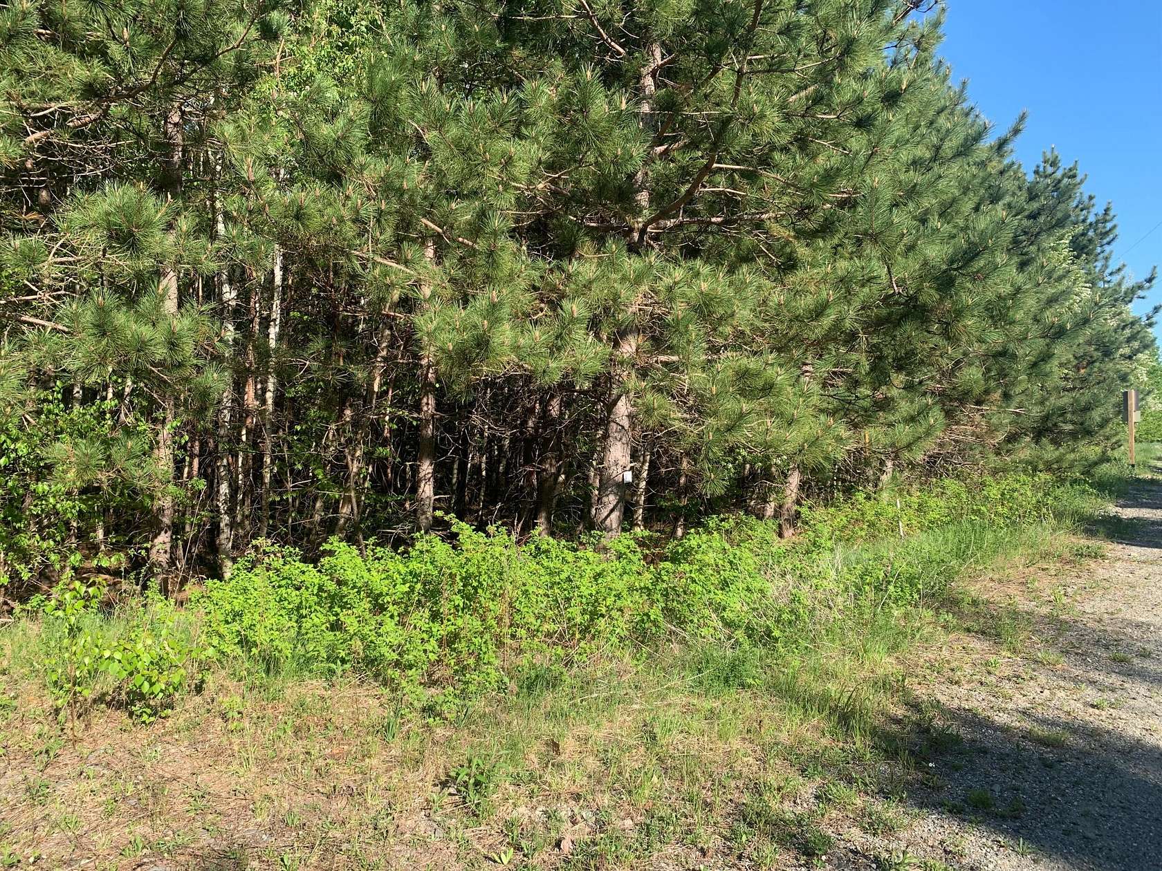 4 Acres of Land for Sale in Dedham, Maine