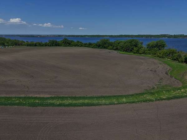 52 Acres of Agricultural Land for Sale in Browns Valley, Minnesota