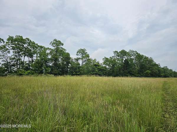 75.3 Acres of Recreational Land & Farm for Sale in Allentown, New Jersey