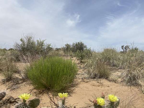 0.5 Acres of Residential Land for Sale in Rio Rancho, New Mexico