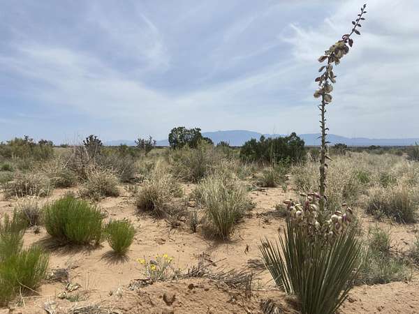 0.5 Acres of Residential Land for Sale in Rio Rancho, New Mexico