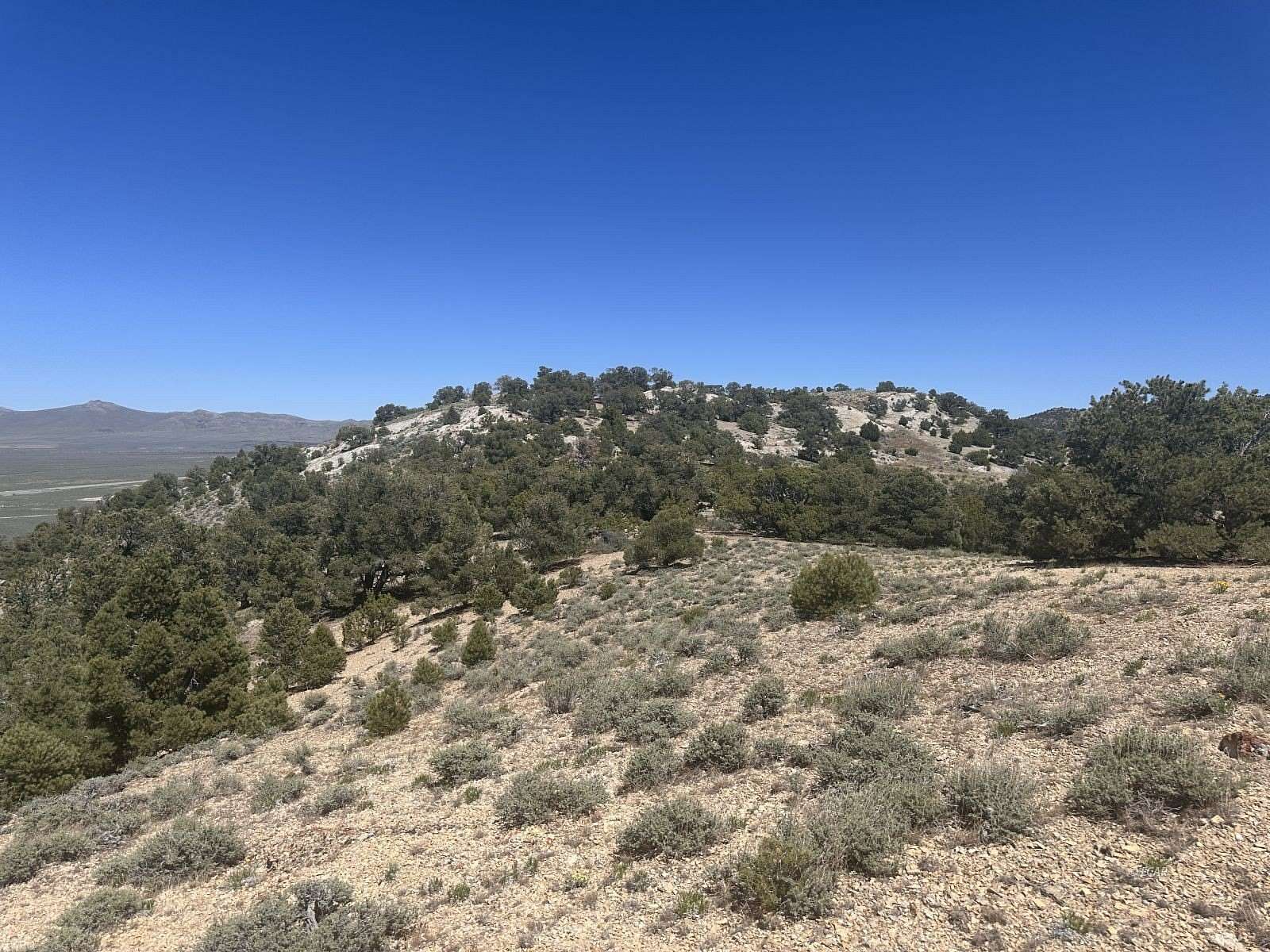 639 Acres of Land for Sale in Montello, Nevada