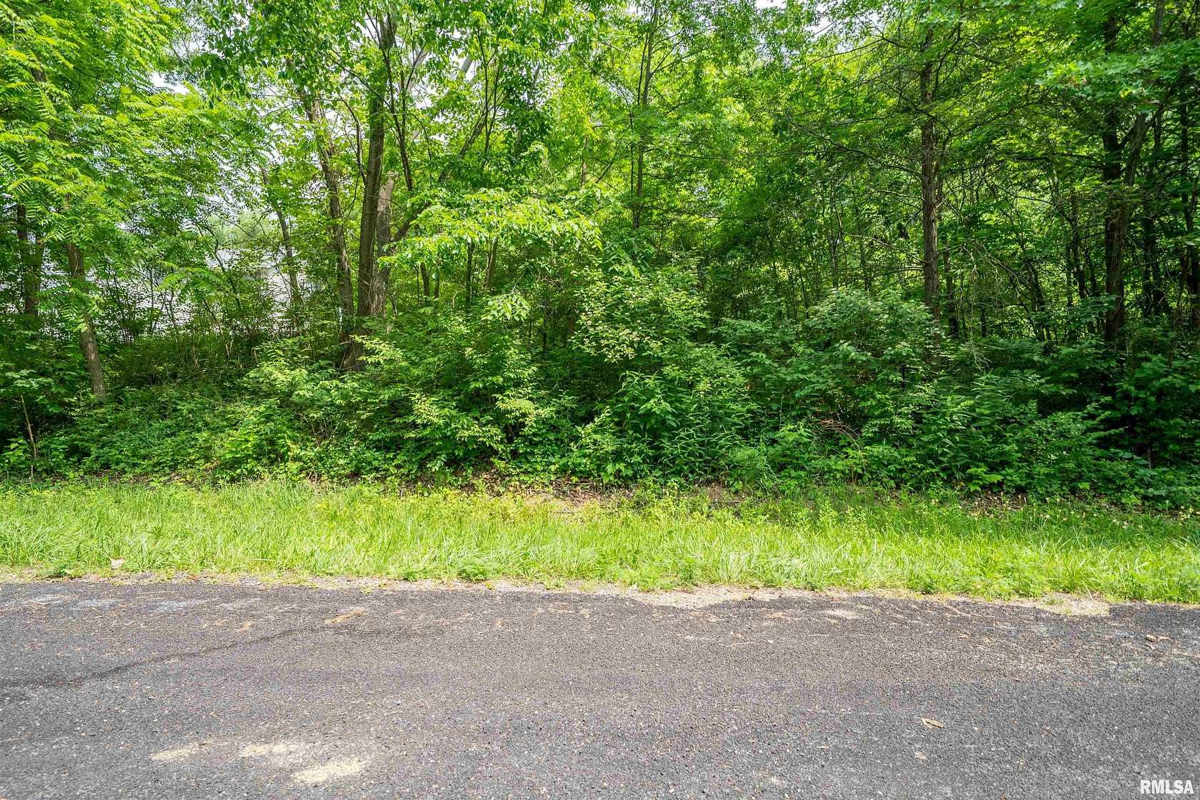 0.26 Acres of Residential Land for Sale in Peoria, Illinois
