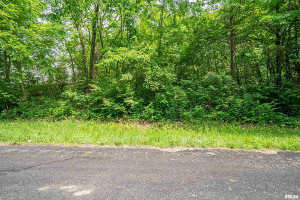 0.26 Acres of Residential Land for Sale in Peoria, Illinois