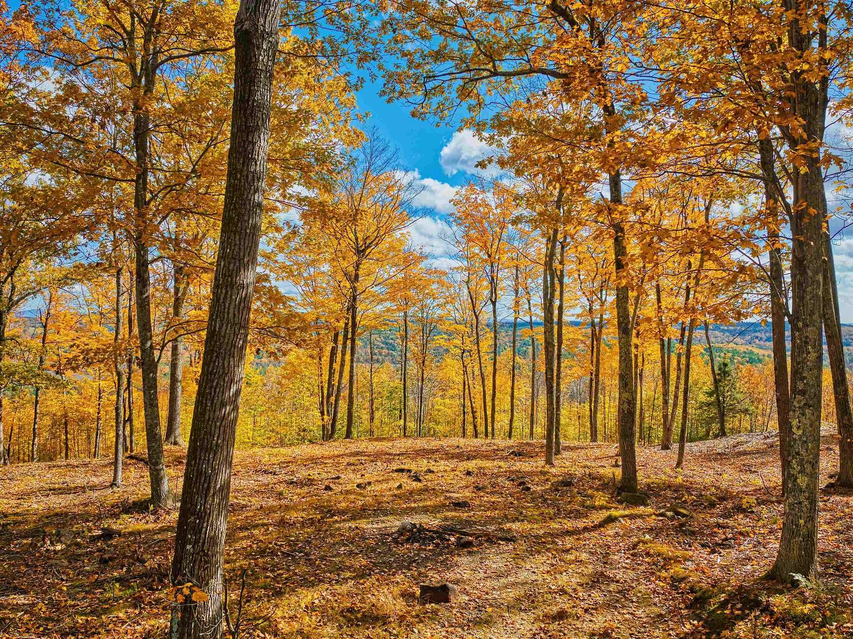 163 Acres of Agricultural Land for Sale in Andover, New Hampshire