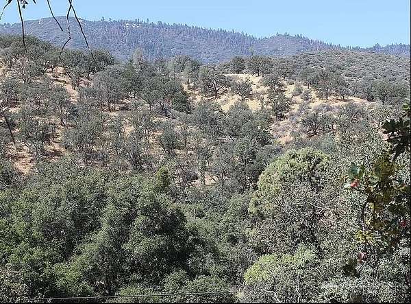 20.2 Acres of Recreational Land for Sale in Caliente, California