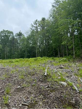105 Acres of Recreational Land for Sale in Barrington, New Hampshire