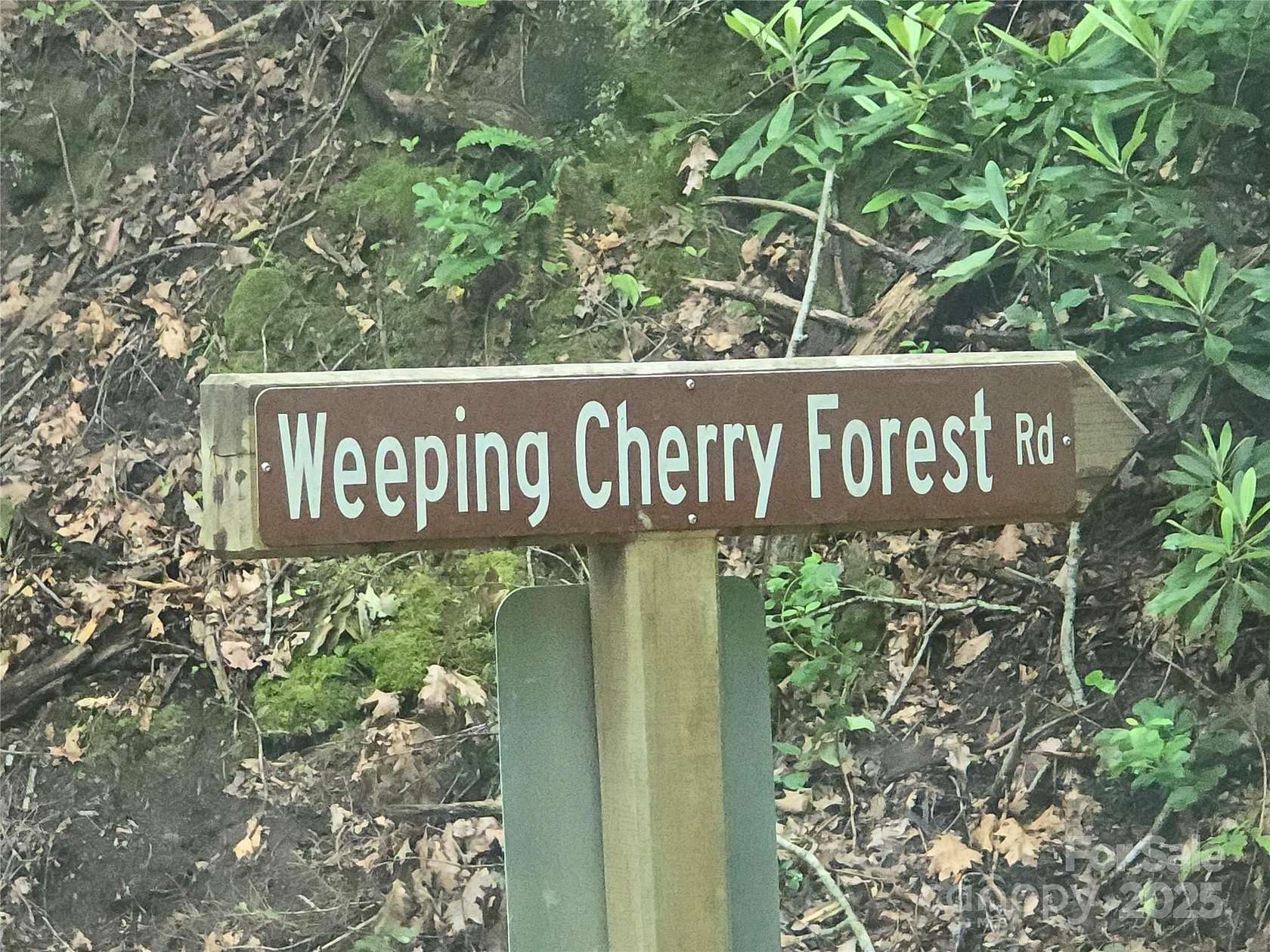 5.19 Acres of Residential Land for Sale in Fairview, North Carolina