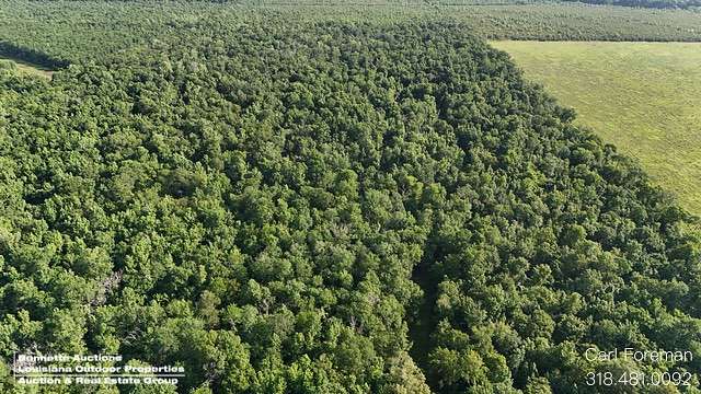 333 Acres of Recreational Land for Sale in Morrow, Louisiana