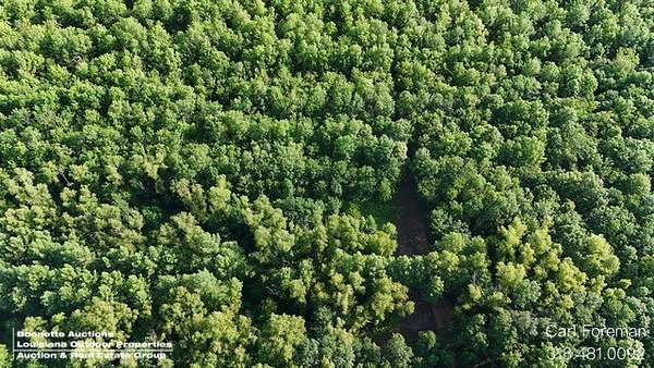 333 Acres of Recreational Land for Sale in Morrow, Louisiana