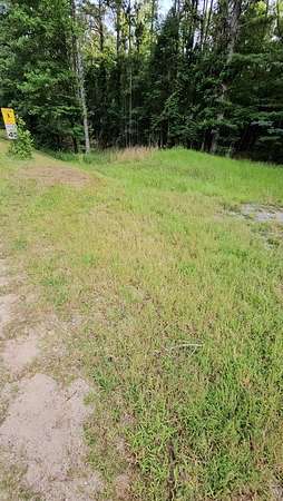 30 Acres of Recreational Land for Sale in Hamilton, Georgia