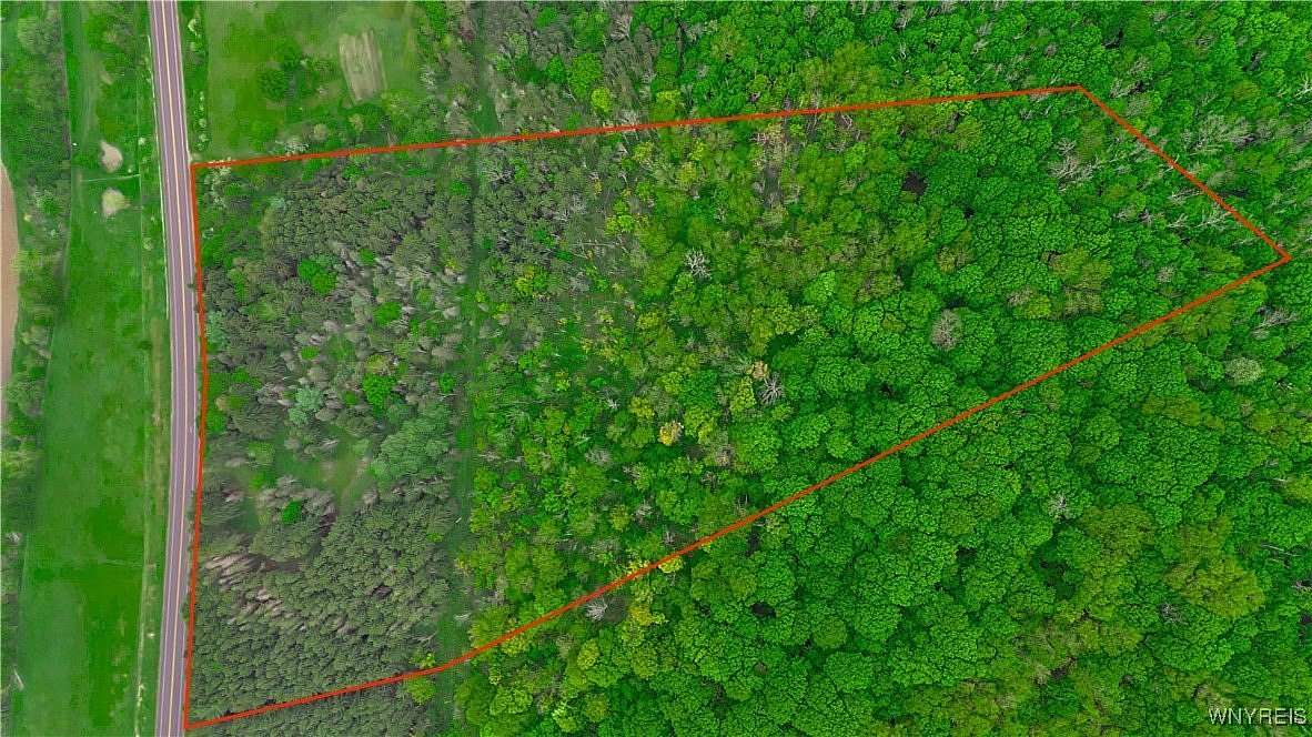 6.6 Acres of Residential Land for Sale in Ellicottville, New York