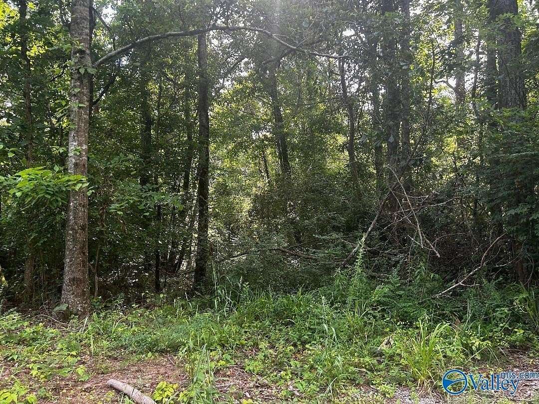 6.7 Acres of Residential Land for Sale in Somerville, Alabama