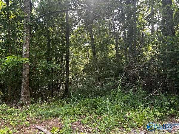 6.7 Acres of Residential Land for Sale in Somerville, Alabama
