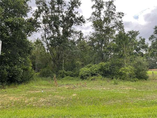 5 Acres of Residential Land for Sale in Clermont, Florida