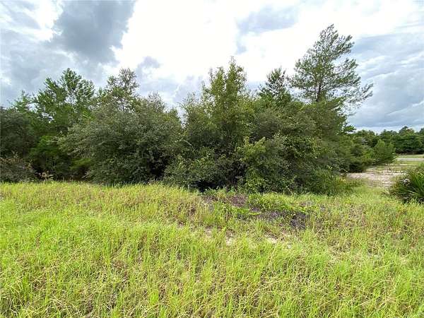 0.34 Acres of Residential Land for Sale in Kissimmee, Florida