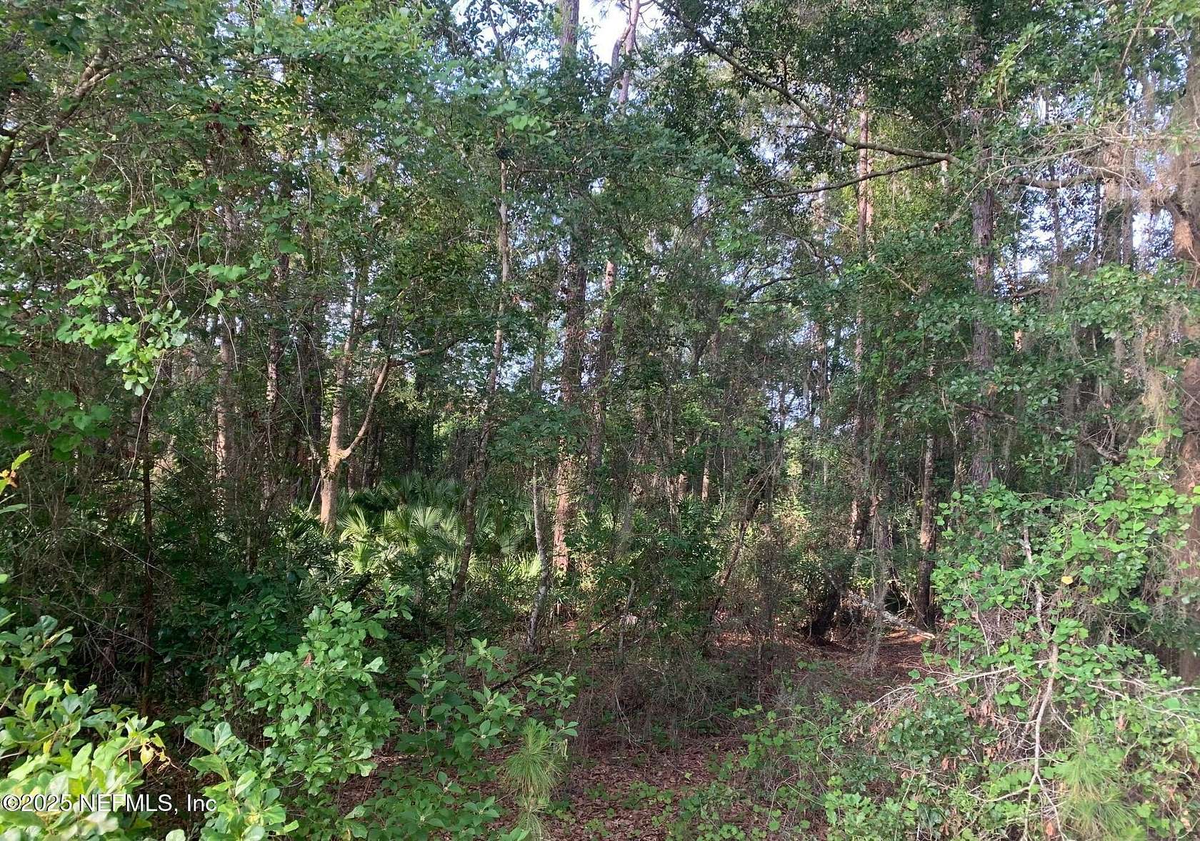 0.68 Acres of Land for Sale in Florahome, Florida