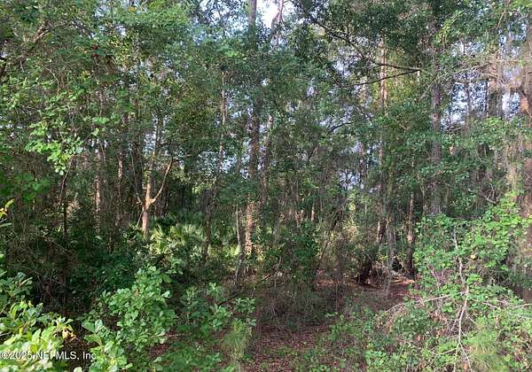 0.68 Acres of Land for Sale in Florahome, Florida