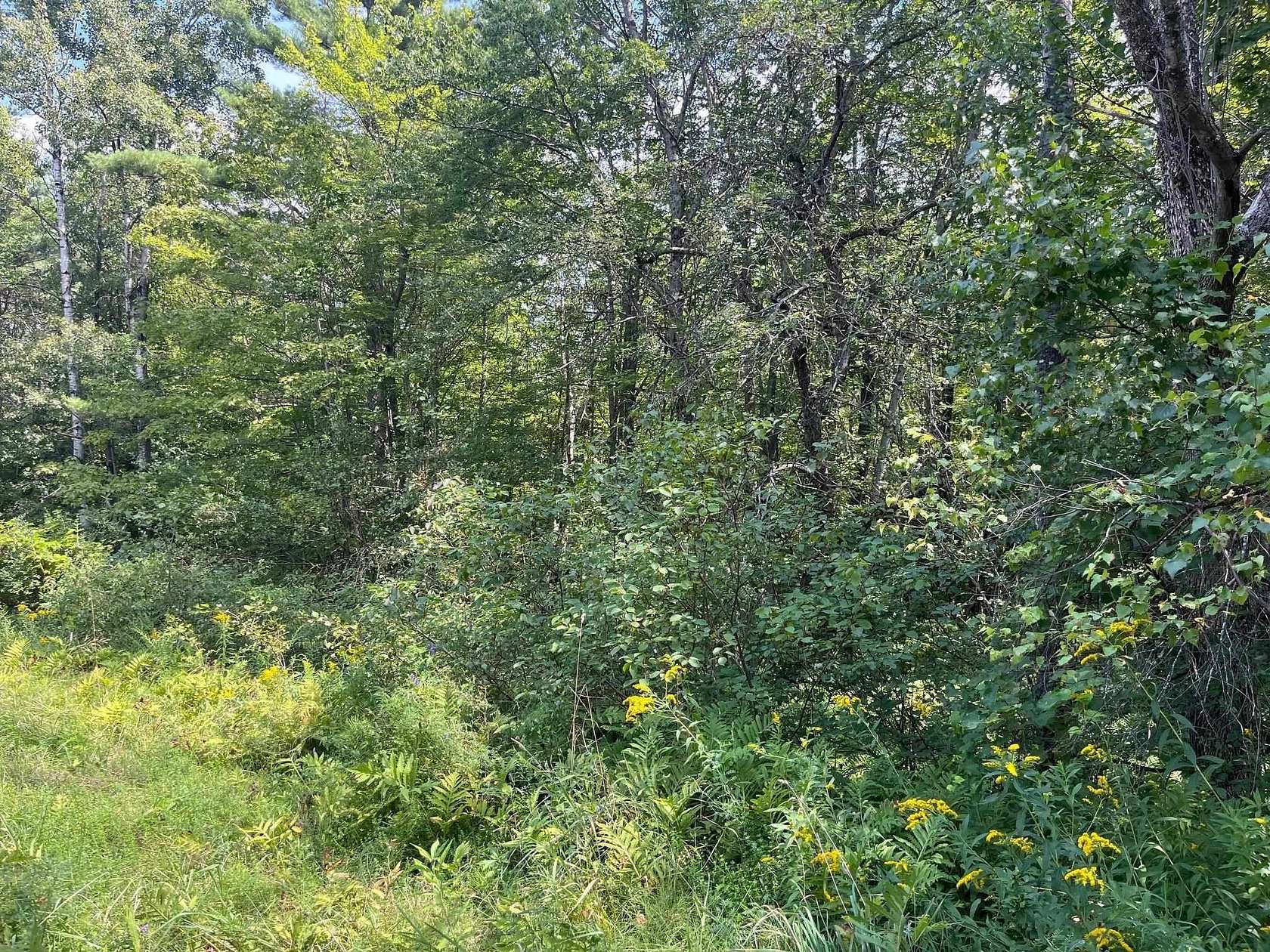 3 Acres of Residential Land for Sale in Lebanon, New Hampshire