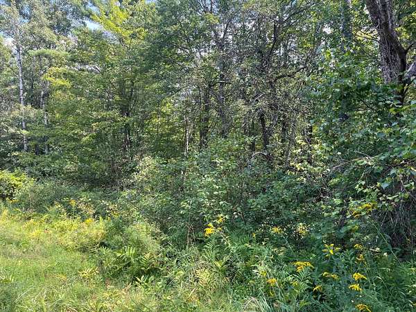 3 Acres of Residential Land for Sale in Lebanon, New Hampshire