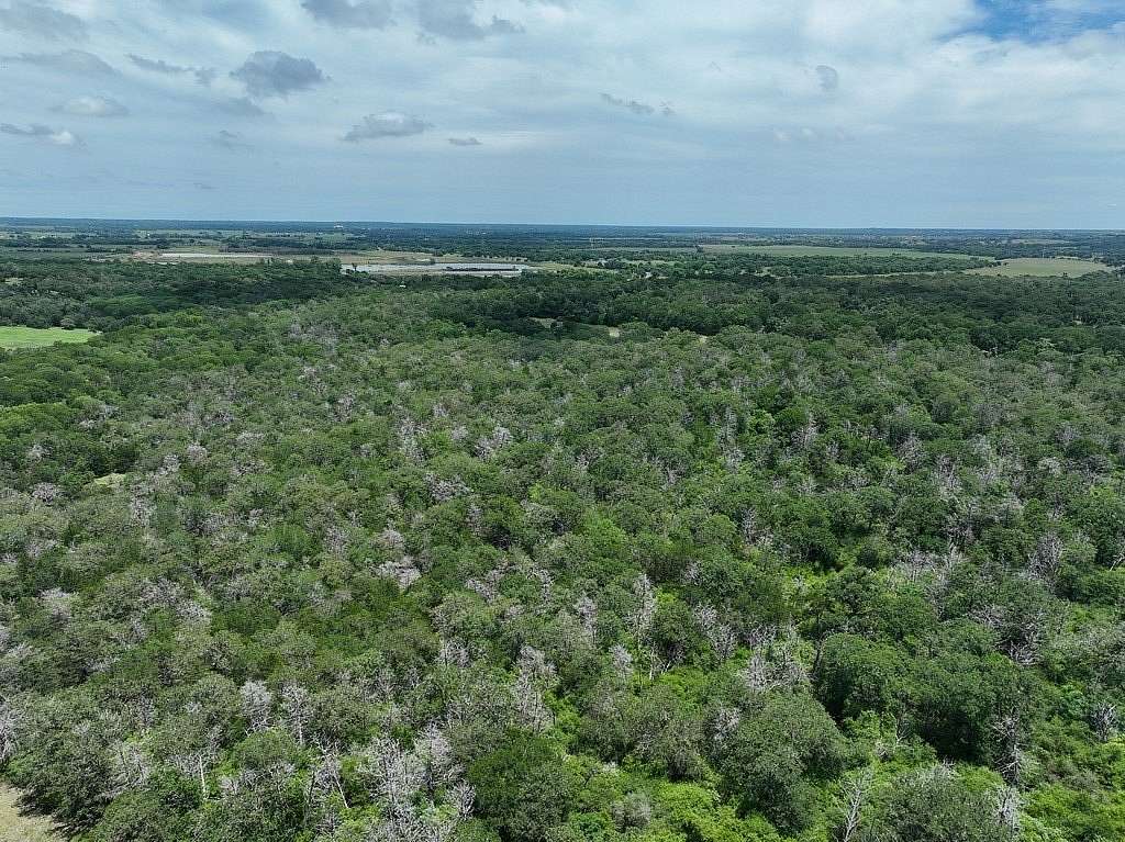 40 Acres of Land for Sale in La Grange, Texas