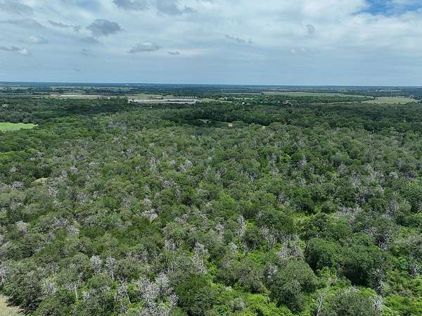 40 Acres of Recreational Land for Sale in La Grange, Texas