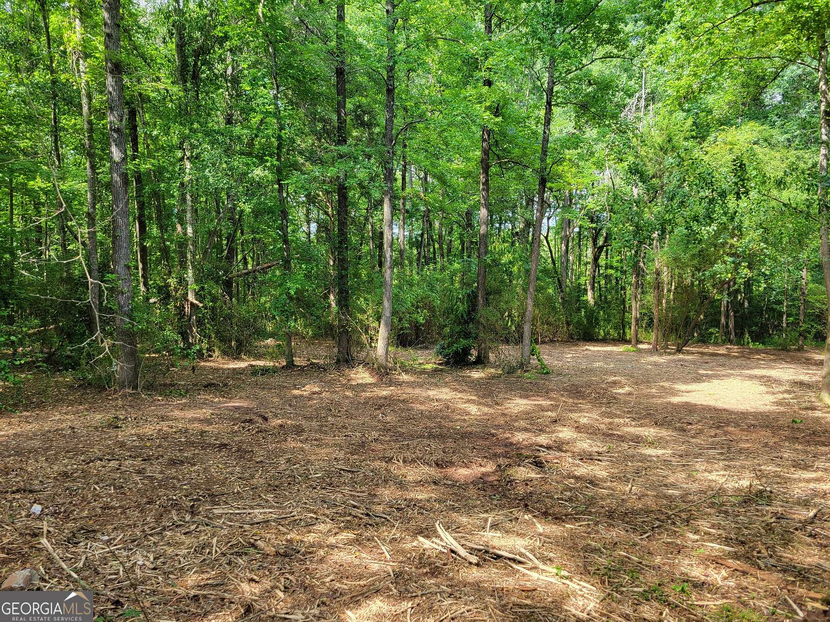 5 Acres of Residential Land for Sale in Yatesville, Georgia