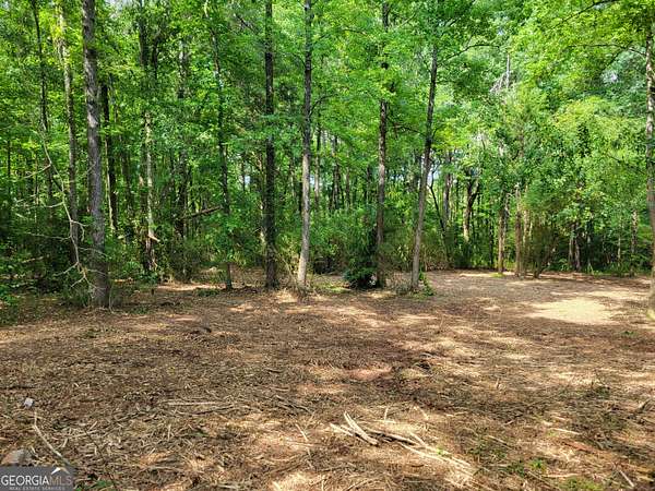 5 Acres of Residential Land for Sale in Yatesville, Georgia