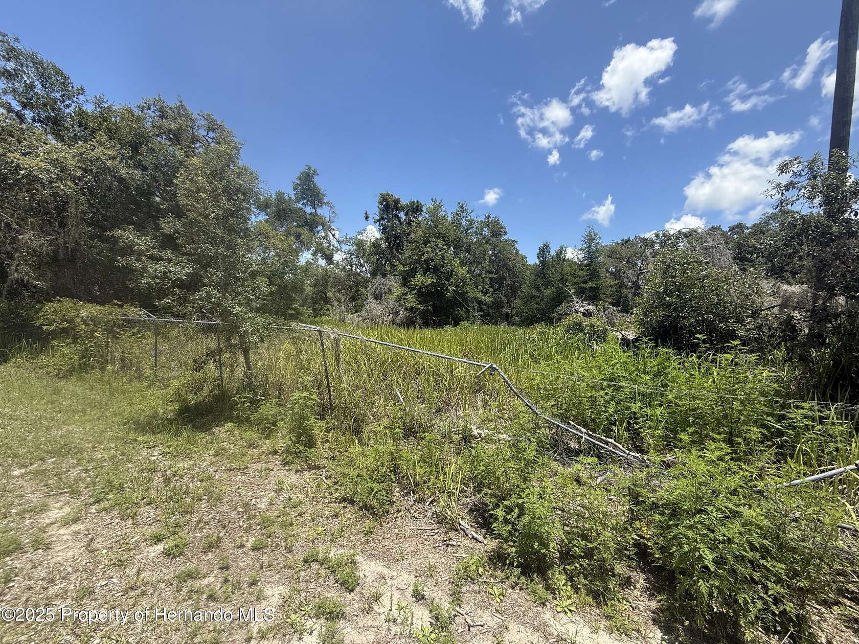 0.2 Acres of Land for Sale in Webster, Florida