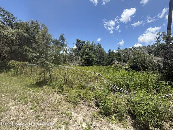 0.2 Acres of Land for Sale in Webster, Florida