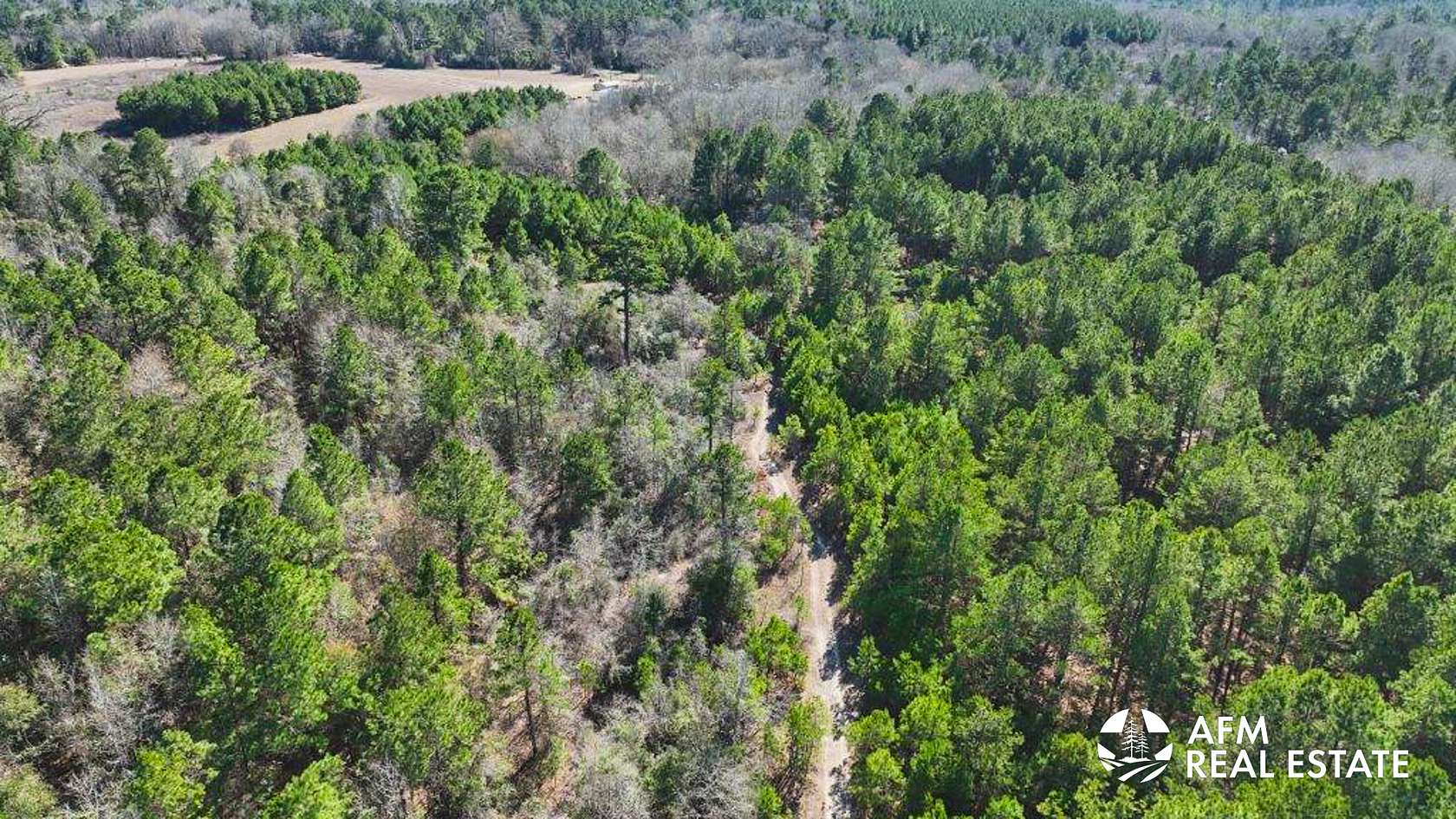 80 Acres of Recreational Land for Sale in San Augustine, Texas
