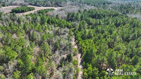 80 Acres of Recreational Land for Sale in San Augustine, Texas