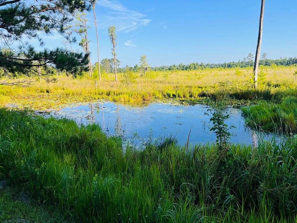 5.44 Acres of Residential Land with Home for Sale in Valdosta, Georgia