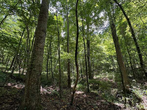 58 Acres of Recreational Land for Sale in Lexington, Mississippi