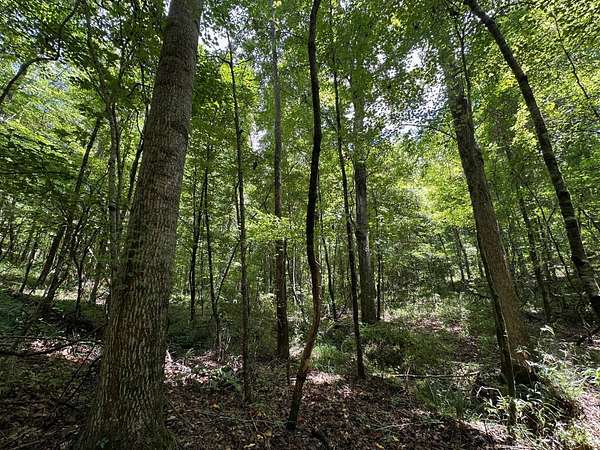 58 Acres of Recreational Land for Sale in Lexington, Mississippi