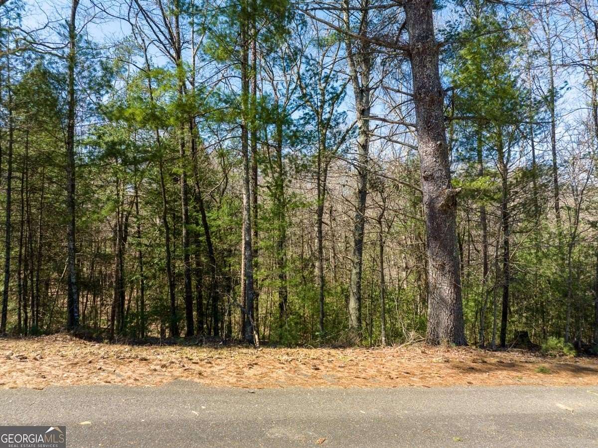 0.74 Acres of Land for Sale in Ellijay, Georgia
