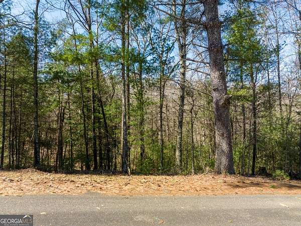 0.74 Acres of Land for Sale in Ellijay, Georgia