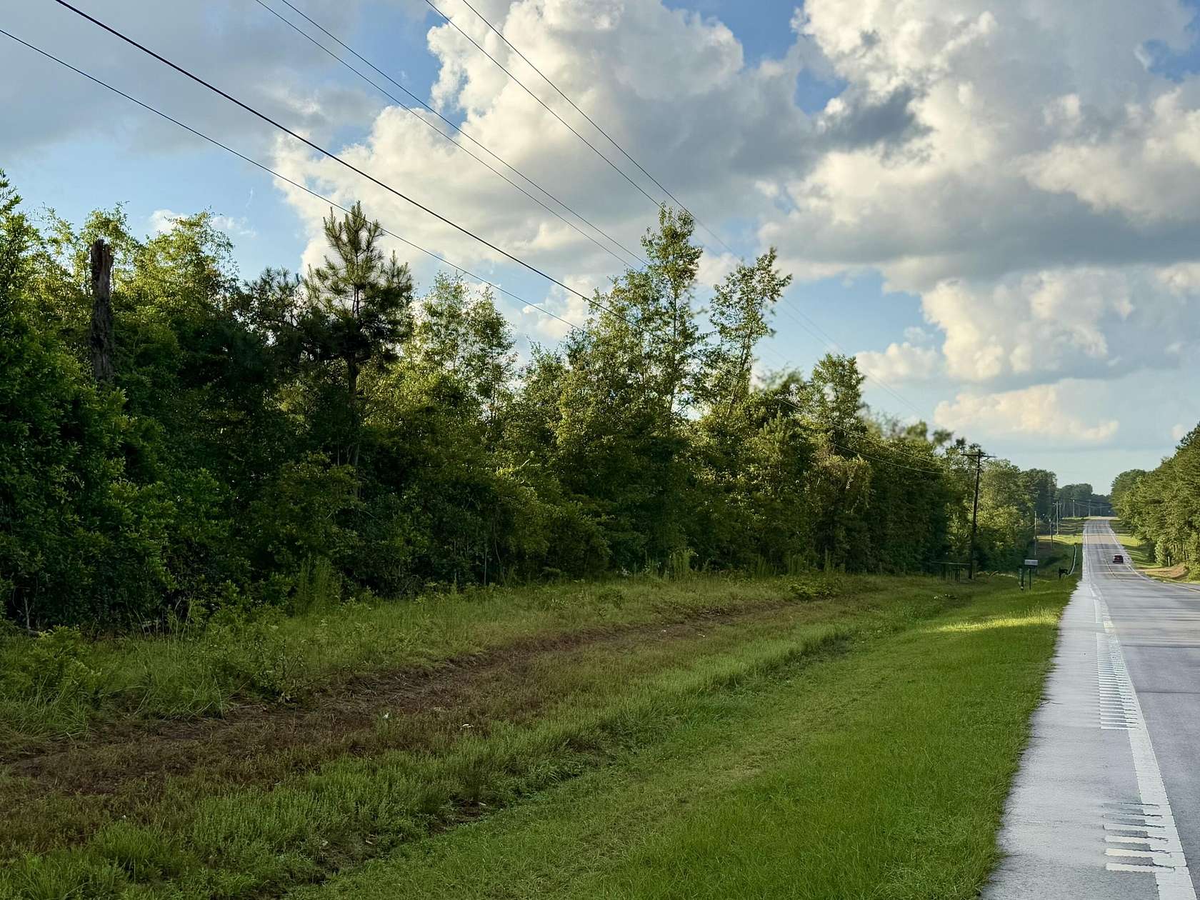 23 Acres of Recreational Land for Sale in Ridge Spring, South Carolina