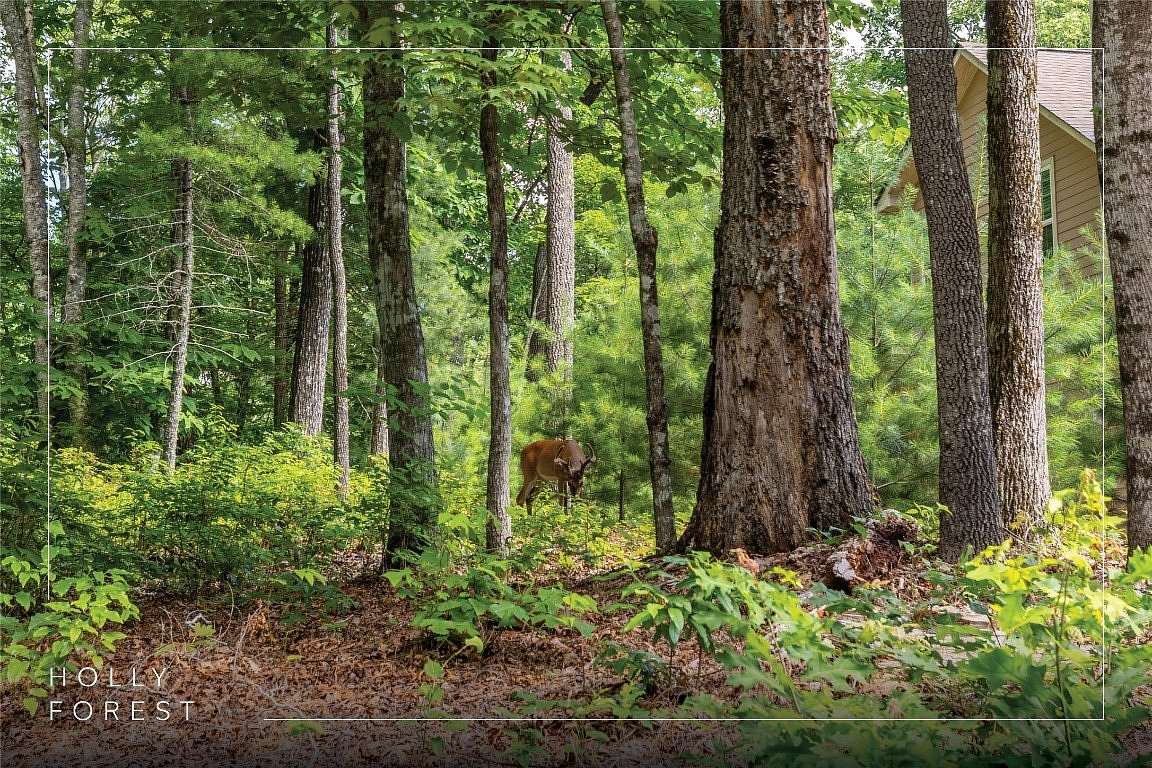 0.59 Acres of Residential Land for Sale in Sapphire, North Carolina