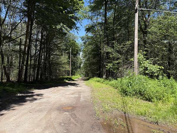 0.58 Acres of Residential Land for Sale in Newfoundland, Pennsylvania