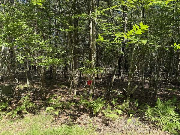 0.57 Acres of Residential Land for Sale in Hawley, Pennsylvania