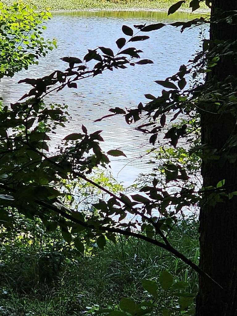 0.22 Acres of Residential Land for Sale in Waverly Hall, Georgia