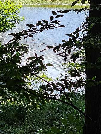 0.22 Acres of Residential Land for Sale in Waverly Hall, Georgia