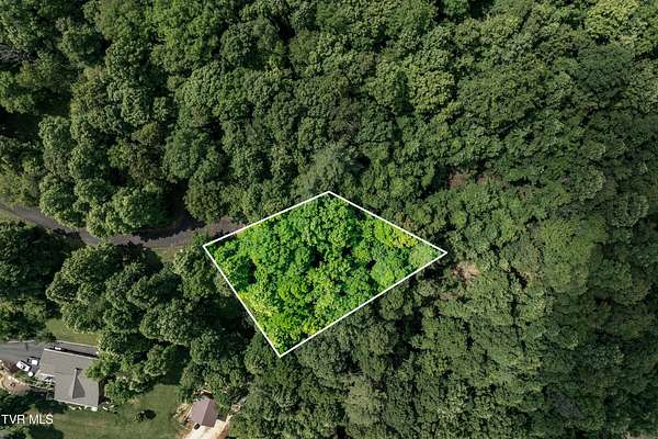 0.67 Acres of Residential Land for Sale in Butler, Tennessee